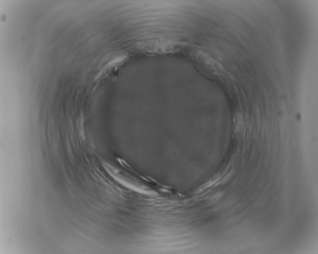 X0000070341202200607072004