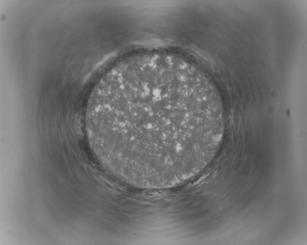 X0000070341205200607072004