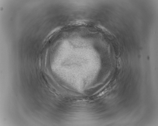 X0000070341206200607072004