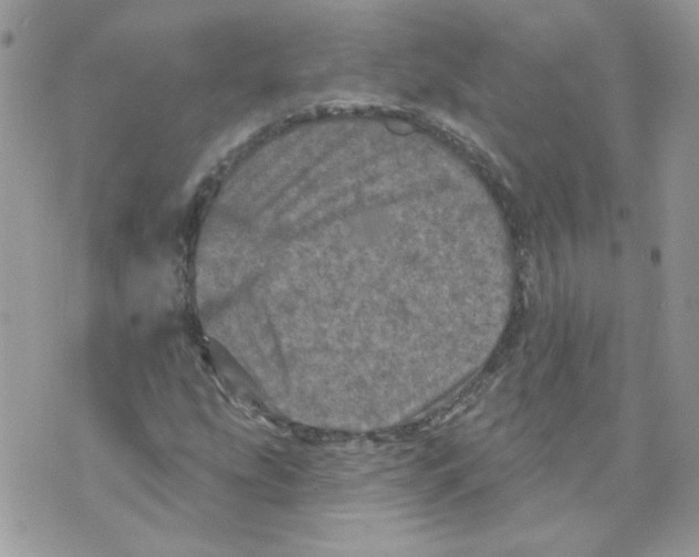 X0000070341207200607072004