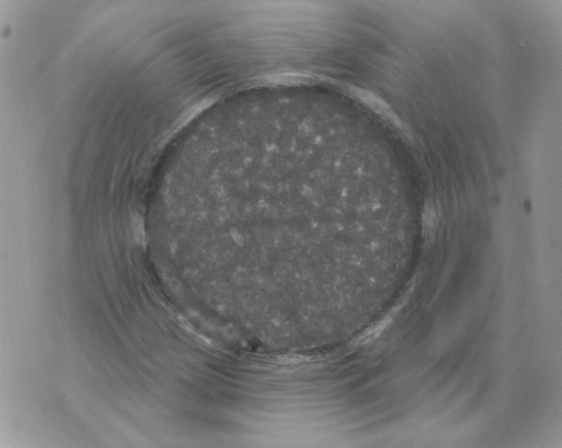 X0000070341209200607072004