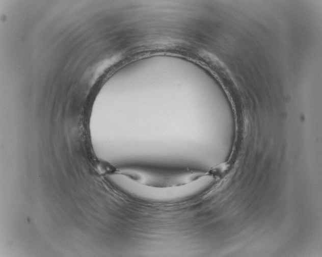 X0000070341210200607072004