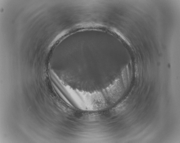 X0000070341213200607072004