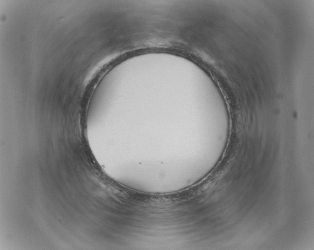 X0000070341214200607072004