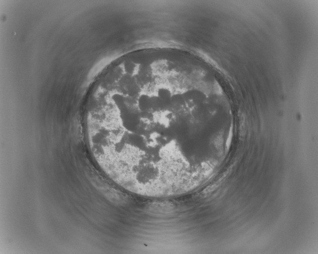 X0000070341215200607072004