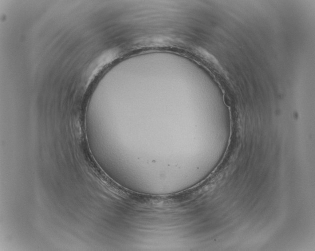 X0000070341218200607072004