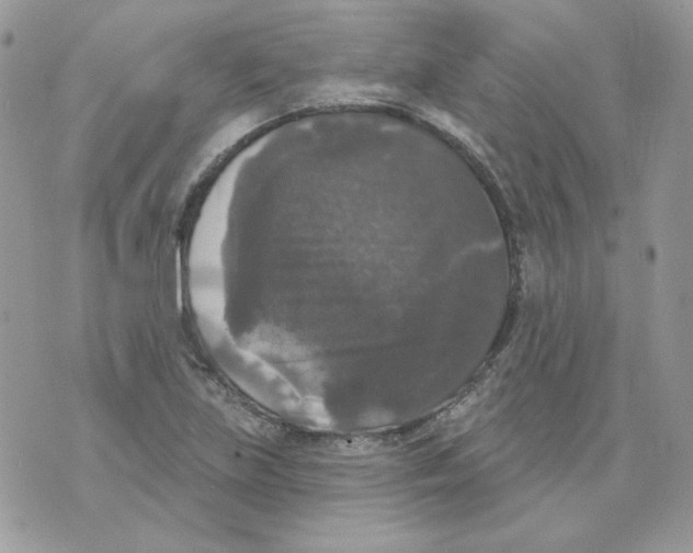 X0000070341219200607072004