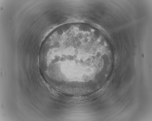 X0000070341220200607072004