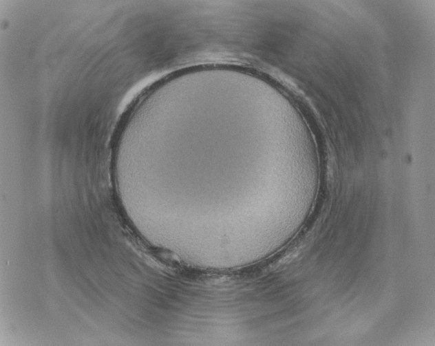 X0000070341222200607072004