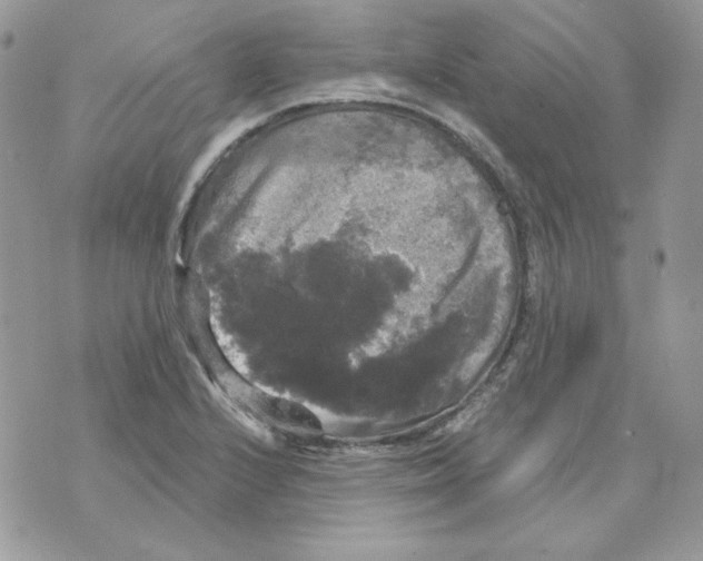 X0000070341224200607072004