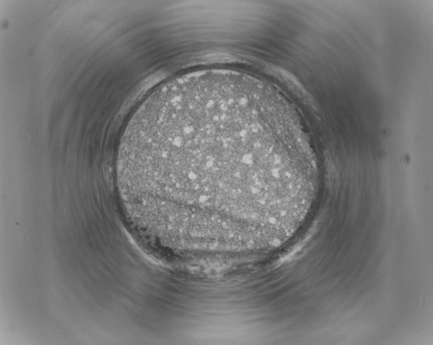 X0000070341225200607072004