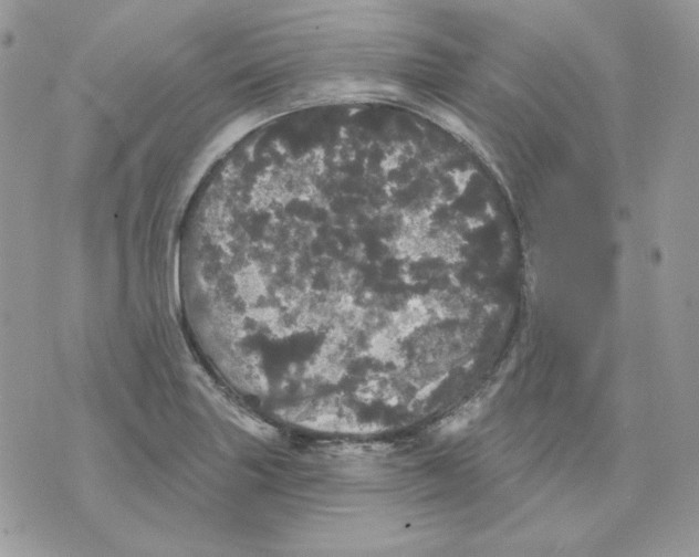 X0000070341227200607072004