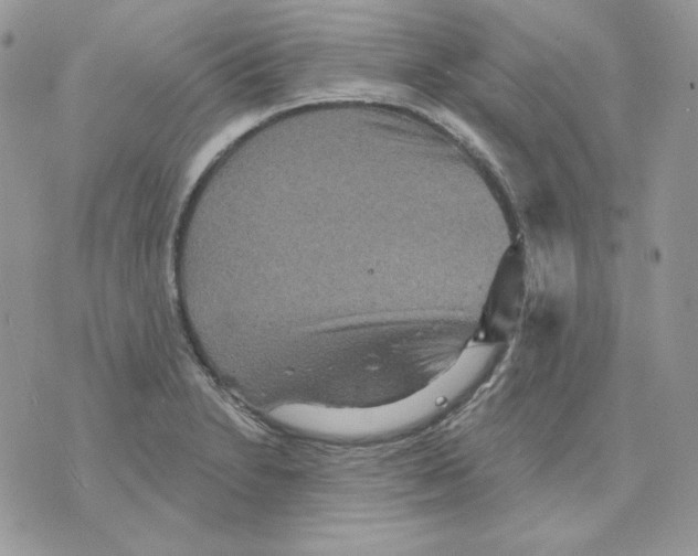 X0000070341230200607072004