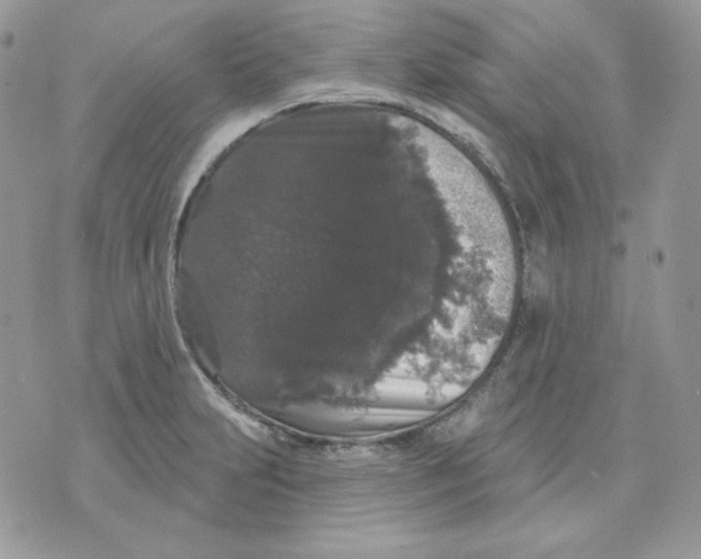 X0000070341231200607072005