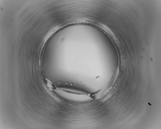 X0000070341234200607072005