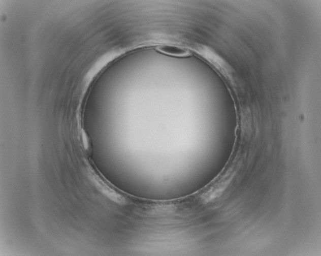 X0000070341238200607072005