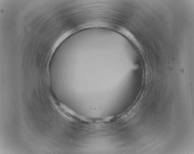 X0000070341242200607072005