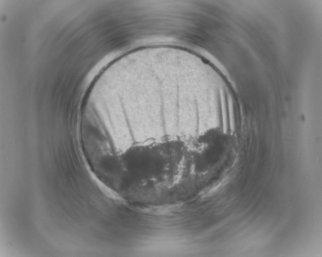 X0000070341245200607072005