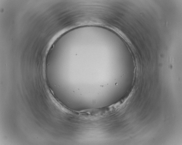 X0000070341246200607072005