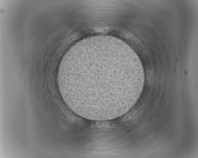 X0000070341249200607072004