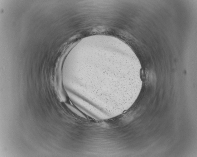 X0000070341250200607072004