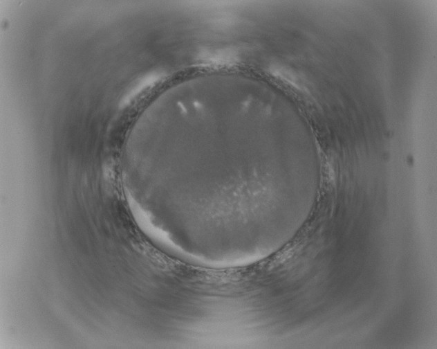 X0000070341254200607072004