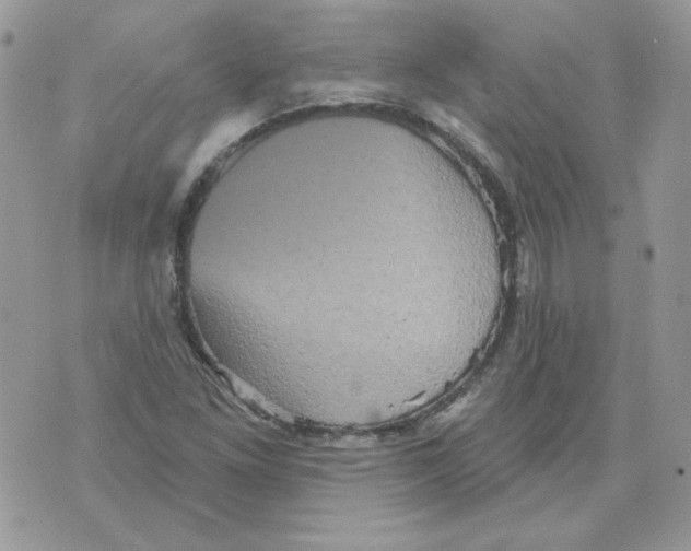 X0000070341261200607072004