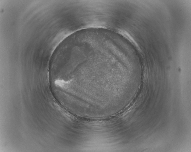 X0000070341268200607072004