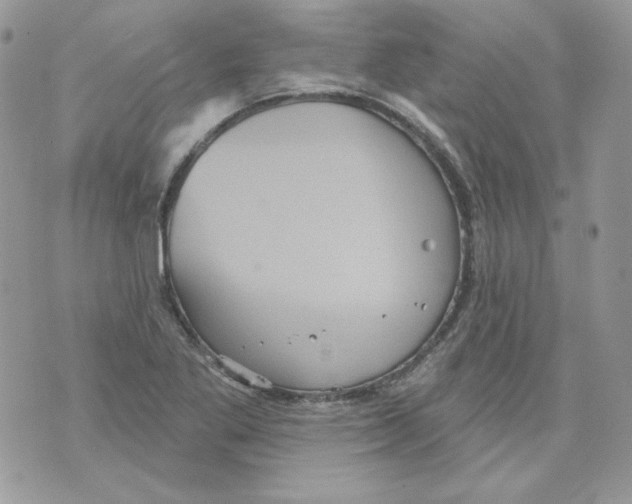 X0000070341269200607072004