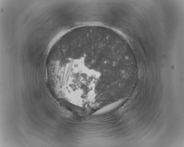 X0000070341271200607072004