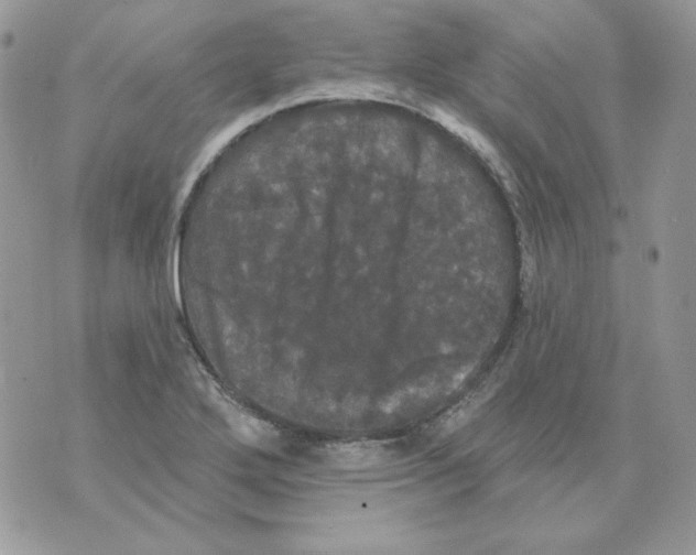 X0000070341272200607072004