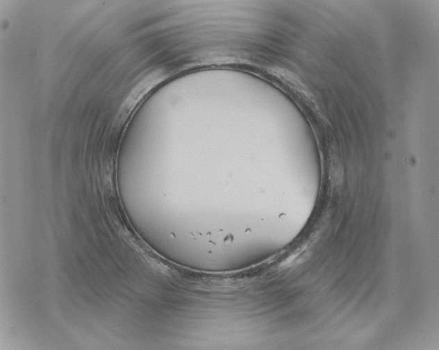 X0000070341273200607072004