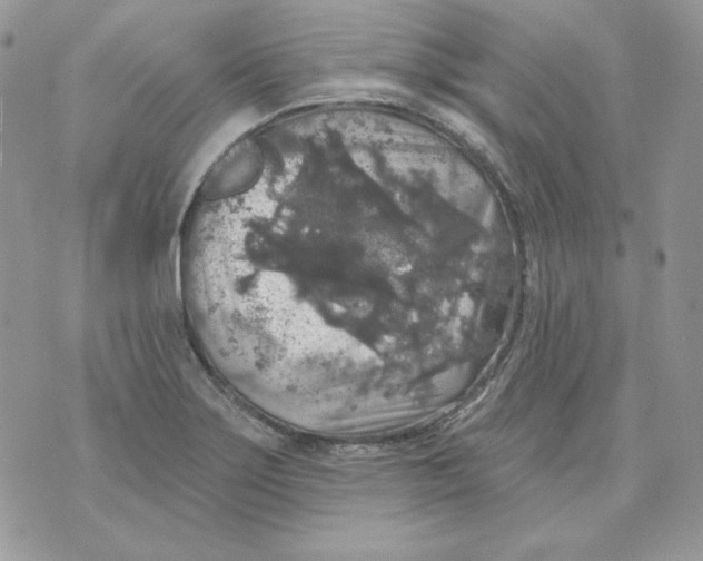 X0000070341275200607072004