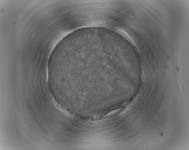 X0000070341276200607072004