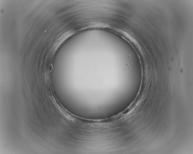 X0000070341281200607072003