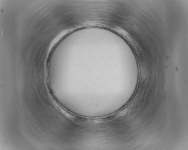 X0000070341286200607072003