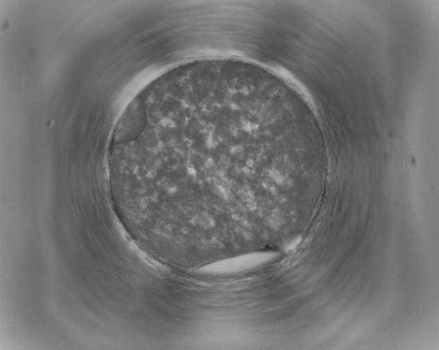 X0000070341287200607072003