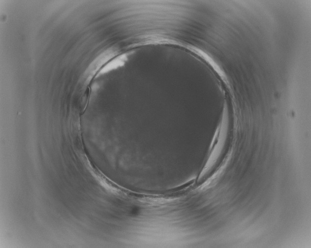 X0000070341289200607072003