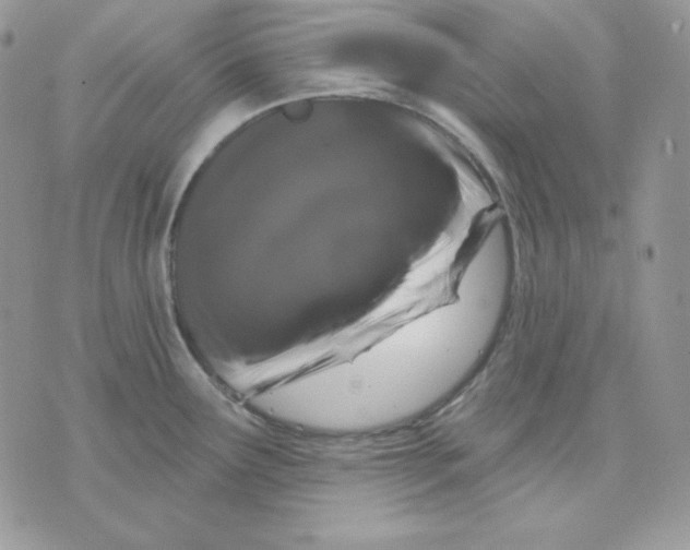 X0000070341291200607072003