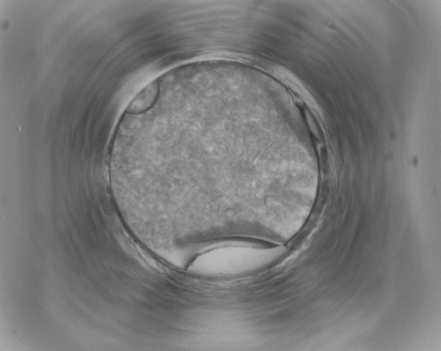 X0000070341292200607072003