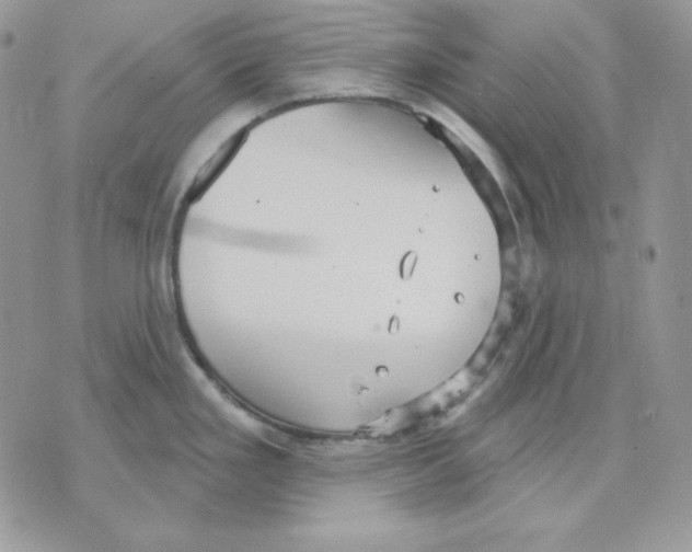 X0000070341293200607072003