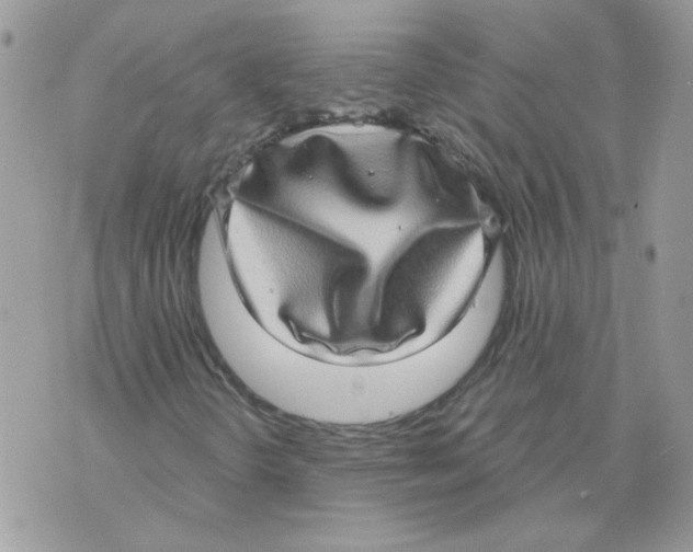 X0000070341298200607072002