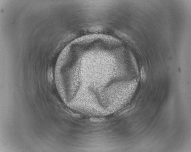 X0000070341299200607072003