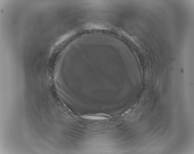 X0000070341303200607072003