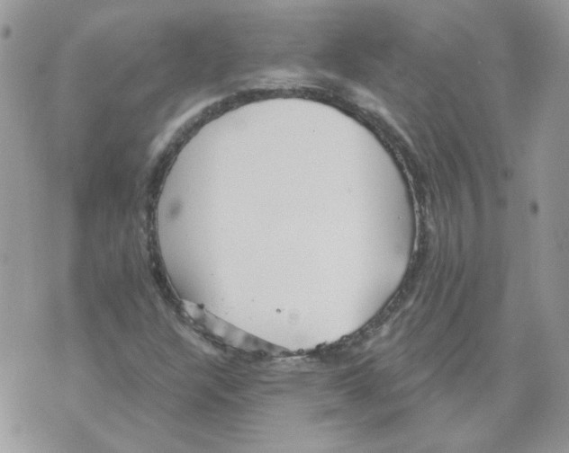 X0000070341304200607072003