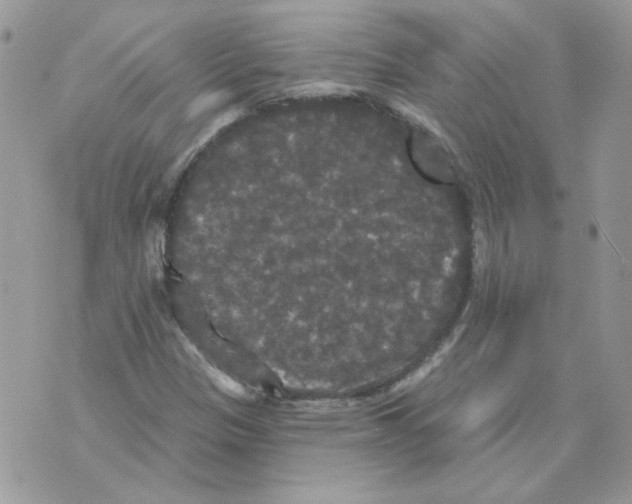 X0000070341305200607072003