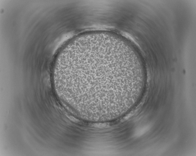 X0000070341307200607072003