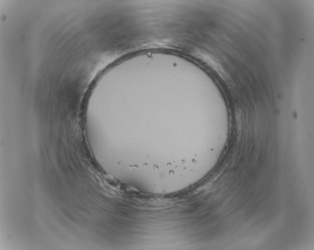 X0000070341308200607072003