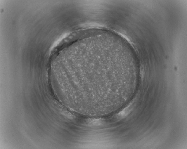 X0000070341309200607072003