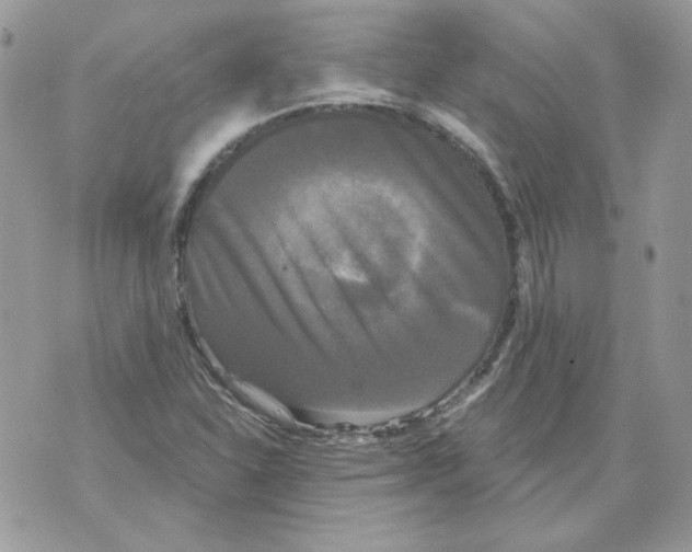 X0000070341310200607072003